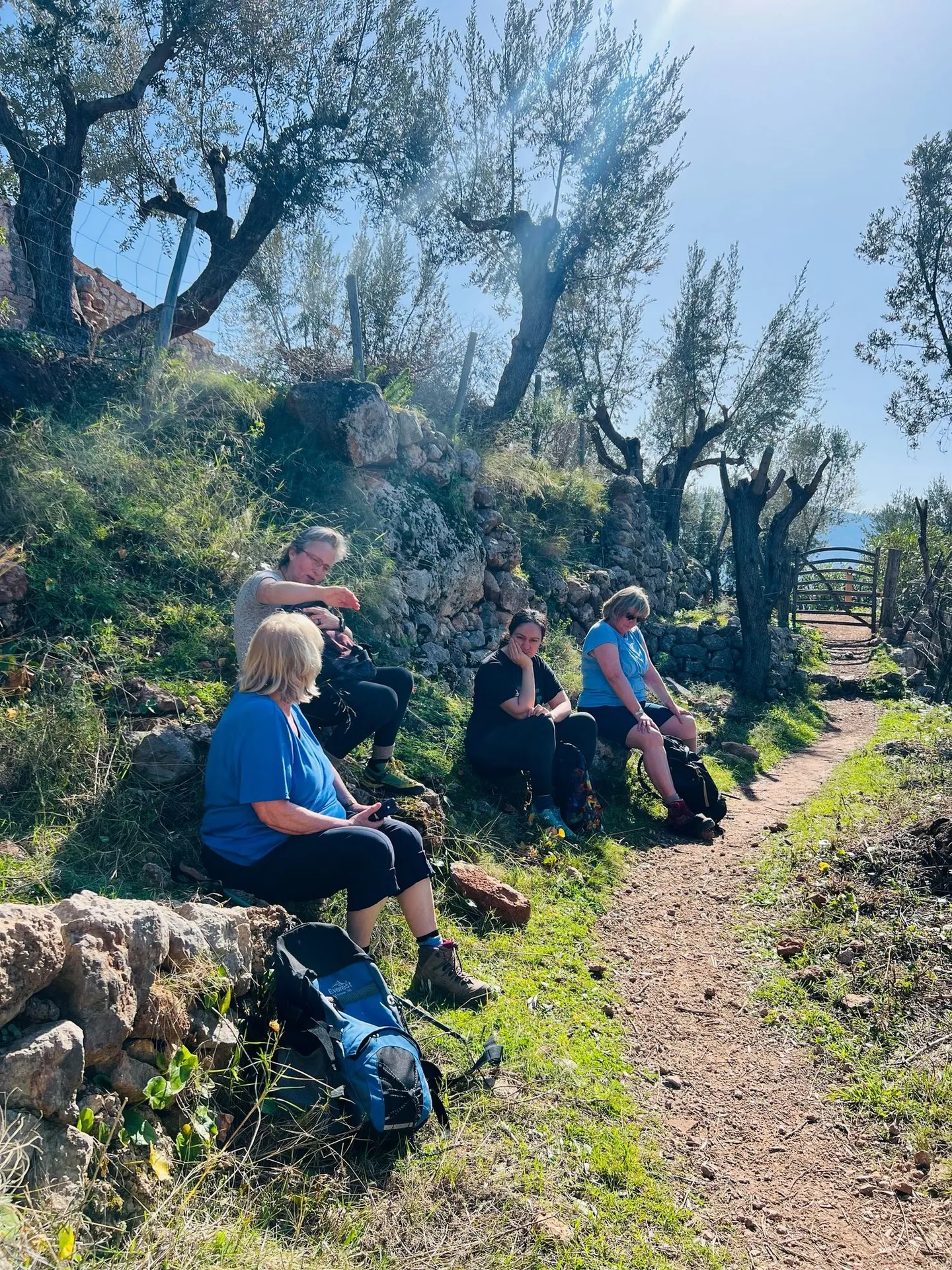 Frauen machen gemeinsam Rast auf einem Wanderweg zwischen Olivenbäumen