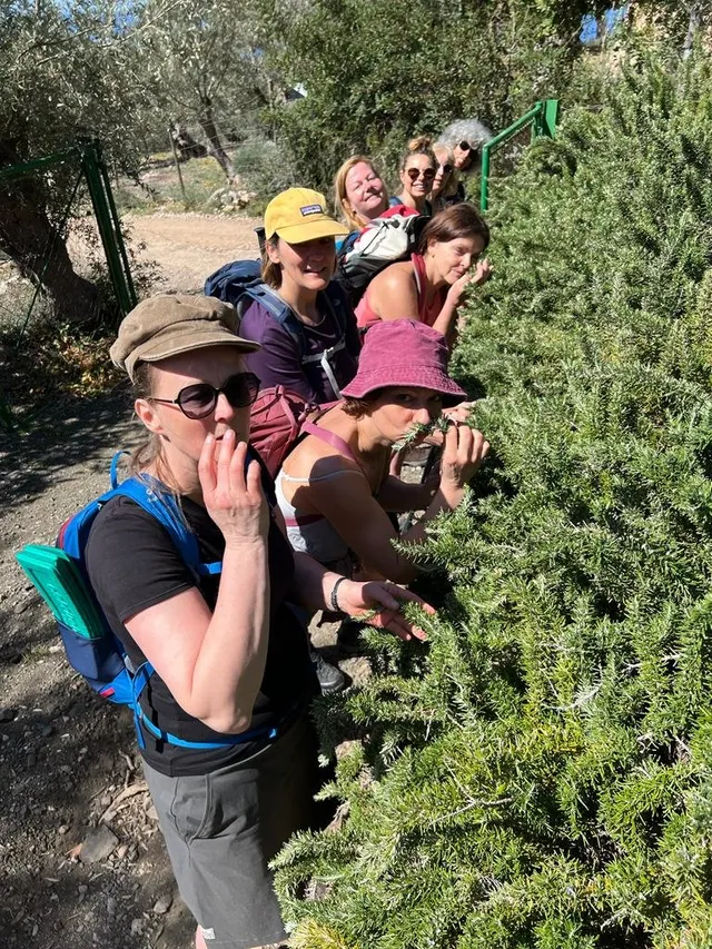 Wandernde Frauen auf einem Weg zwischen Rosmarin und Olivenbäumen, eine winkt fröhlich
