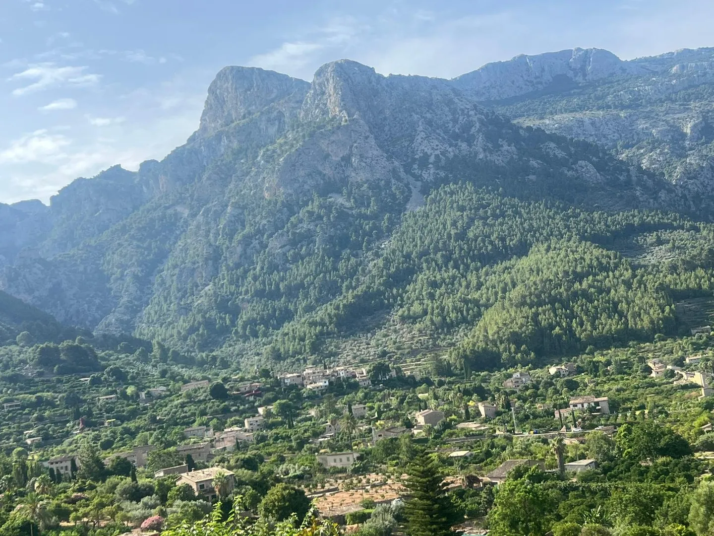 Markanter Felsgipfel des Tramuntana-Gebirges über dem grünen Tal von Sóller