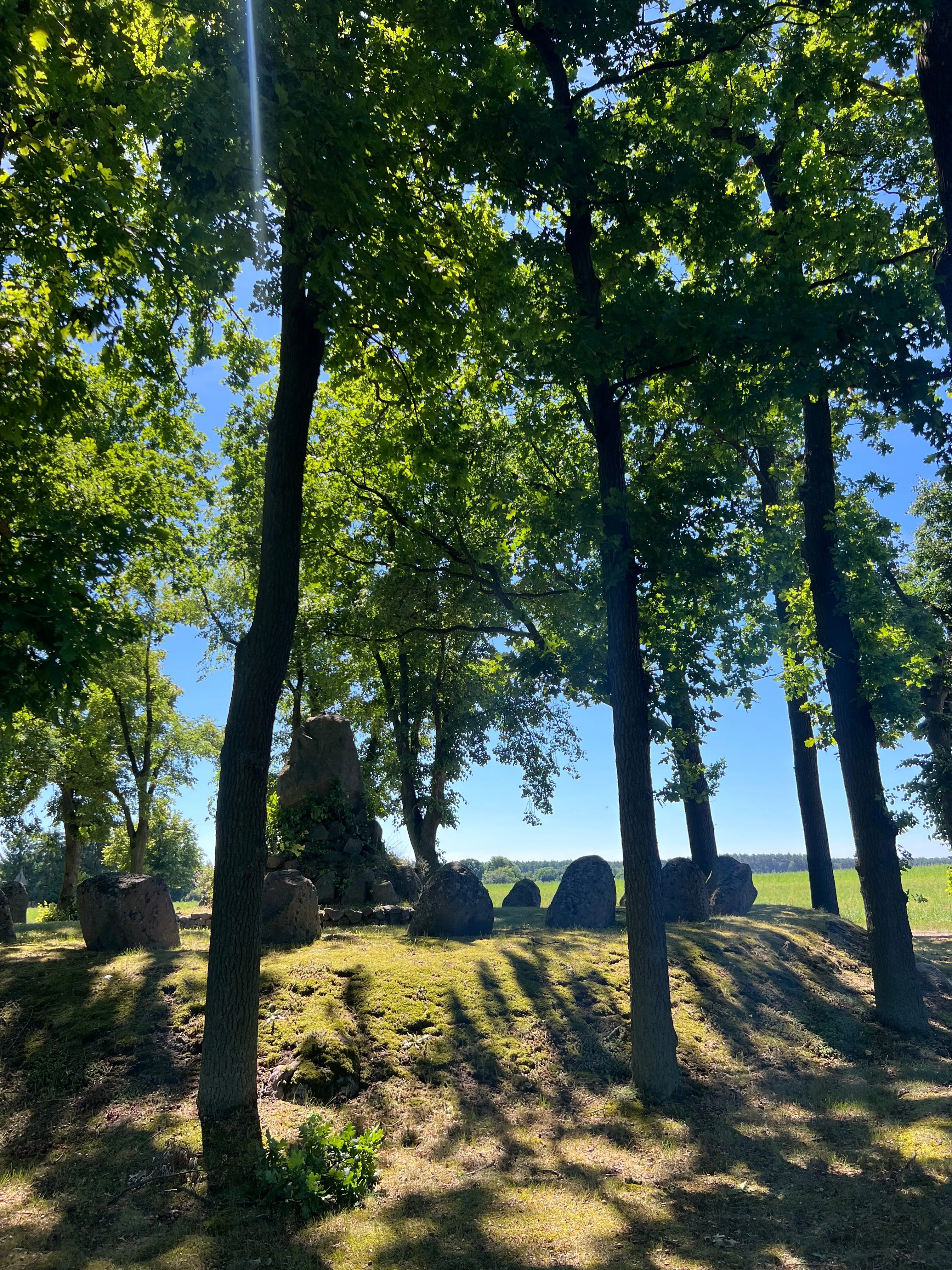 Wald und See rund um das Naturhaus Schorfheide im warmen Licht