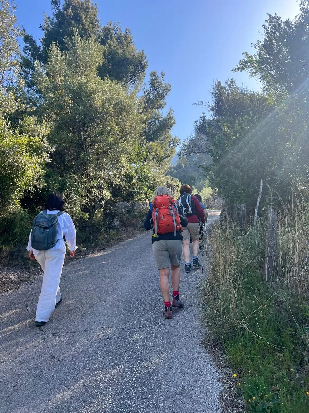 Gruppe wandernder Frauen mit Rucksäcken auf einem sonnigen Weg durch die Tramuntana